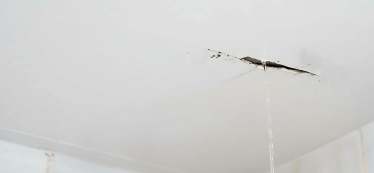 leak in ceiling from roof leak